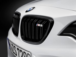 M2 grille